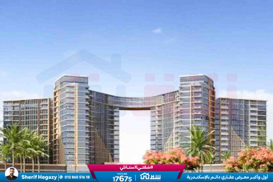 WhatsApp Image 2025-11-13 at 10.19.18 AM (1)