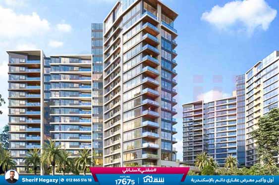 WhatsApp Image 2025-11-13 at 10.19.18 AM