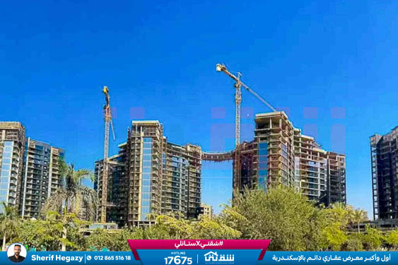 WhatsApp Image 2025-11-13 at 10.19.19 AM (1)