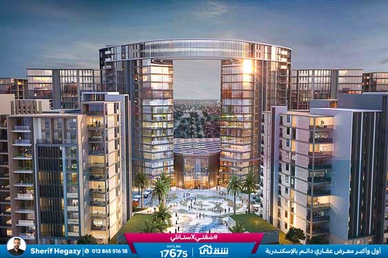 WhatsApp Image 2025-11-13 at 10.19.19 AM (3)