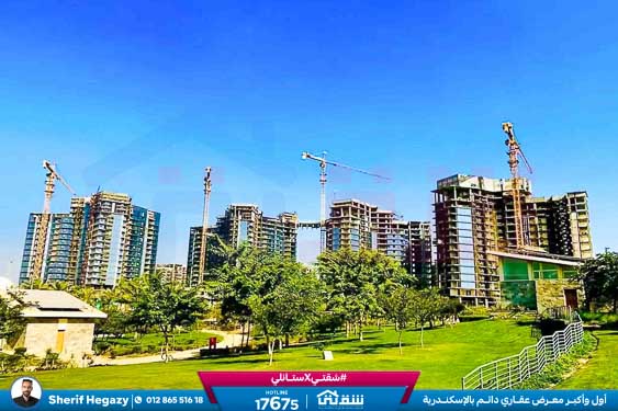 WhatsApp Image 2025-11-13 at 10.19.19 AM