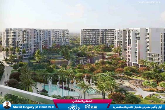 WhatsApp Image 2025-11-13 at 10.19.20 AM (1)