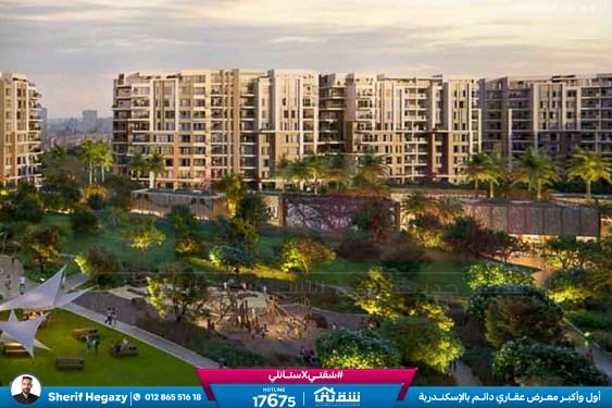 WhatsApp Image 2025-11-13 at 10.19.20 AM