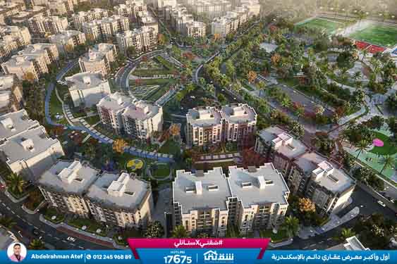 WhatsApp Image 2025-11-13 at 12.40.07 PM