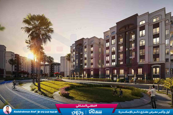 WhatsApp Image 2025-11-13 at 12.40.08 PM (1)