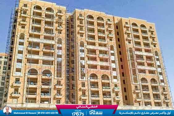 WhatsApp Image 2025-11-14 at 3.10.08 PM (1)