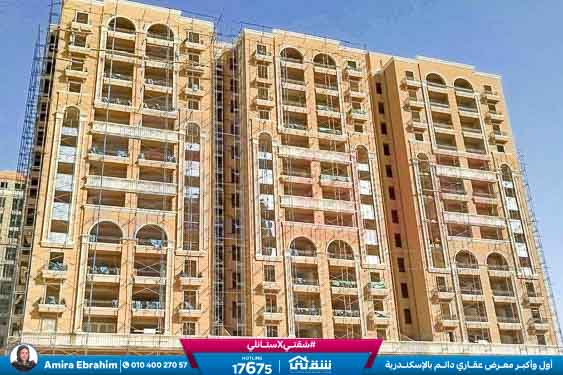 WhatsApp Image 2025-11-14 at 3.10.08 PM (1)