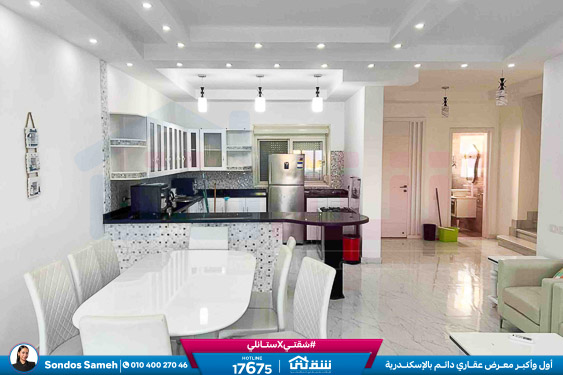 WhatsApp Image 2025-11-15 at 1.27.08 PM (3)