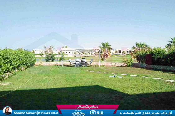 WhatsApp Image 2025-11-15 at 1.27.08 PM