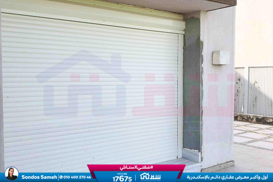 WhatsApp Image 2025-11-15 at 1.27.09 PM (1)