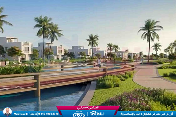 WhatsApp Image 2025-11-15 at 17.07.12