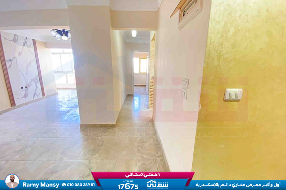 WhatsApp Image 2025-11-15 at 3.48.35 PM