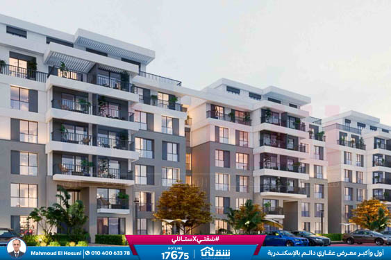 WhatsApp Image 2025-11-15 at 6.11.59 PM (1)