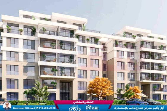 WhatsApp Image 2025-11-15 at 6.12.00 PM