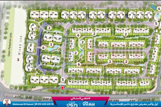 WhatsApp Image 2025-11-15 at 6.12.03 PM