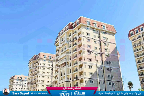 WhatsApp Image 2025-11-18 at 15.48.44 (3)