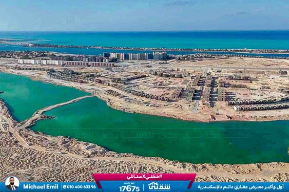 WhatsApp Image 2025-11-20 at 14.05.07 (1)