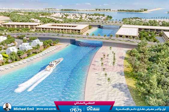 WhatsApp Image 2025-11-20 at 14.05.11