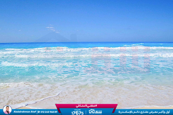 WhatsApp Image 2025-11-22 at 11.37.15_c8502cce