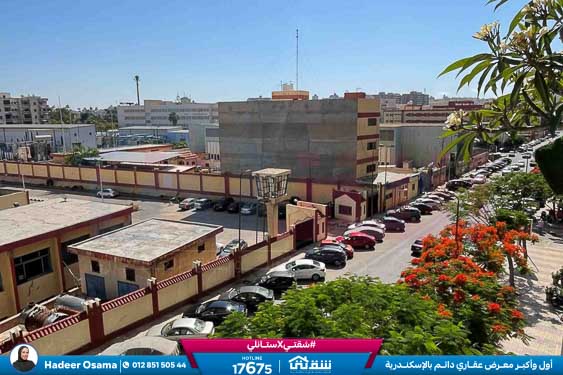 WhatsApp Image 2025-11-22 at 6.48.17 PM