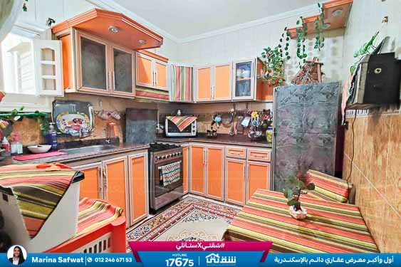 WhatsApp Image 2025-11-24 at 2.57.05 PM (1)