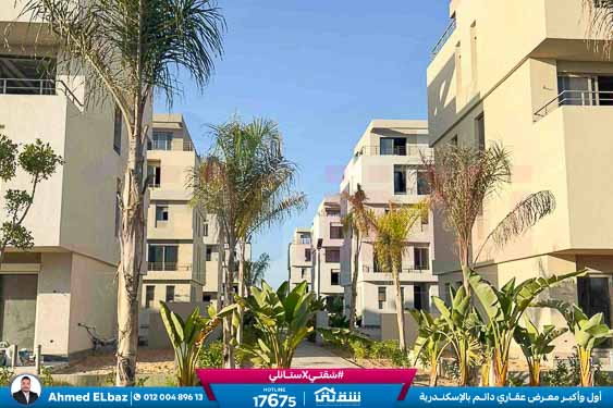 WhatsApp Image 2025-11-24 at 7.16.05 PM (1)