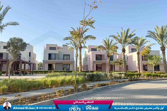 WhatsApp Image 2025-11-24 at 7.16.05 PM