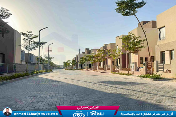 WhatsApp Image 2025-11-24 at 7.16.06 PM (1)