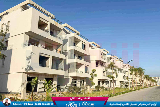 WhatsApp Image 2025-11-24 at 7.16.06 PM (2)