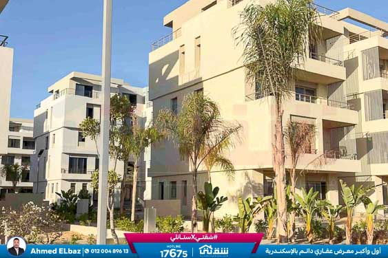 WhatsApp Image 2025-11-24 at 7.16.08 PM (3)