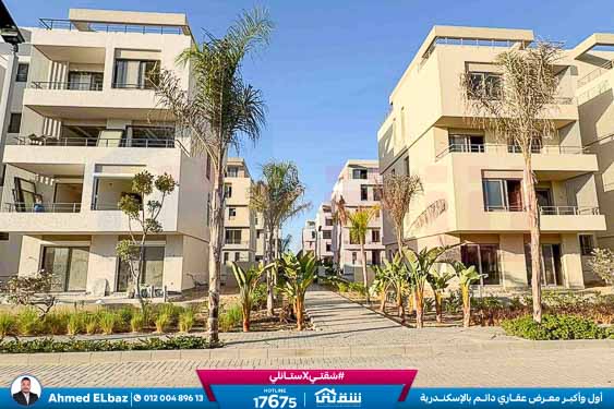 WhatsApp Image 2025-11-24 at 7.16.08 PM