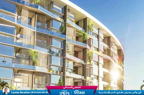 456763065_936641951831041_5659839821218352683_n