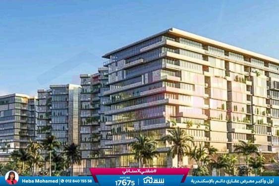 457143261_936641858497717_4190734054235641365_n