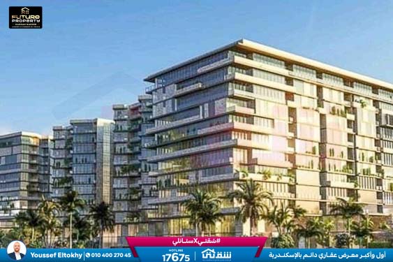 457143261_936641858497717_4190734054235641365_n