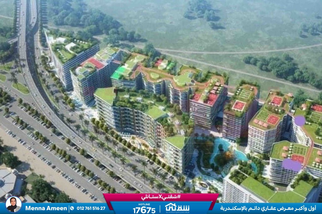 457193118_936641965164373_7697053552713594473_n