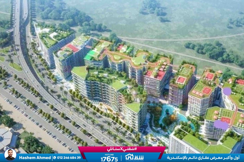 457193118_936641965164373_7697053552713594473_n