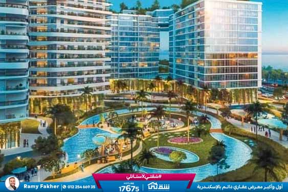 457274366_936641968497706_7826790344485313154_n