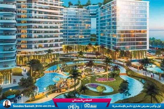 457274366_936641968497706_7826790344485313154_n