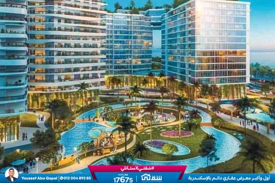 457274366_936641968497706_7826790344485313154_n