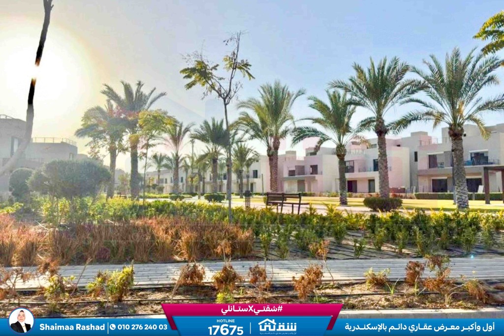 598851143_1326696732825559_8807907489738845640_n