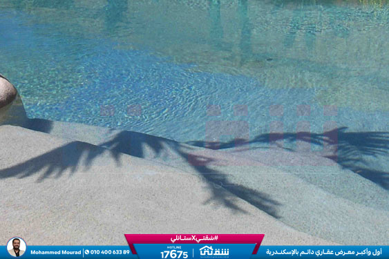 Beach chalet - 3 Bedrooms + 65 Garden-1