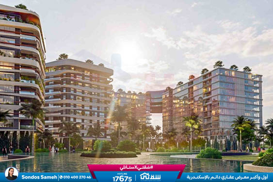 WhatsApp Image 2021-11-15 at 12.56.48 PM