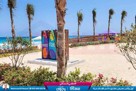 WhatsApp Image 2023-07-04 at 5.33.41 PM