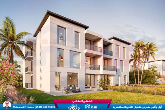 WhatsApp Image 2024-01-17 at 12.07.32 PM