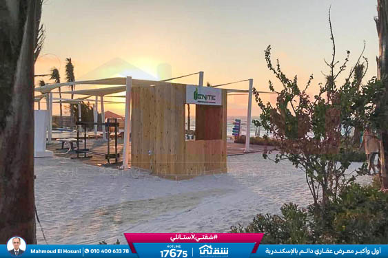 WhatsApp Image 2024-02-15 at 2.03.12 PM (1)