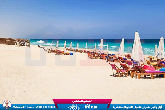 WhatsApp Image 2024-02-15 at 2.03.14 PM (1)