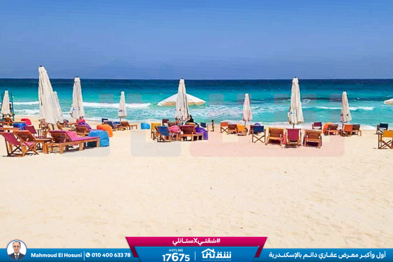 WhatsApp Image 2024-02-15 at 2.03.14 PM (2)