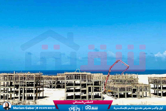 WhatsApp Image 2024-03-07 at 8.45.17 PM