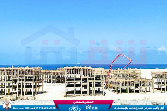 WhatsApp Image 2024-03-07 at 8.45.17 PM