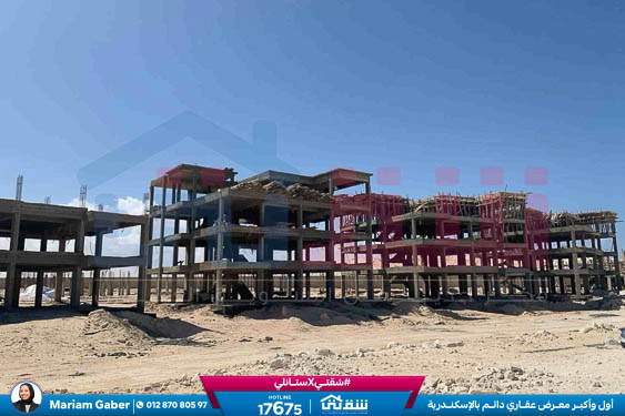 WhatsApp Image 2024-03-07 at 8.45.18 PM